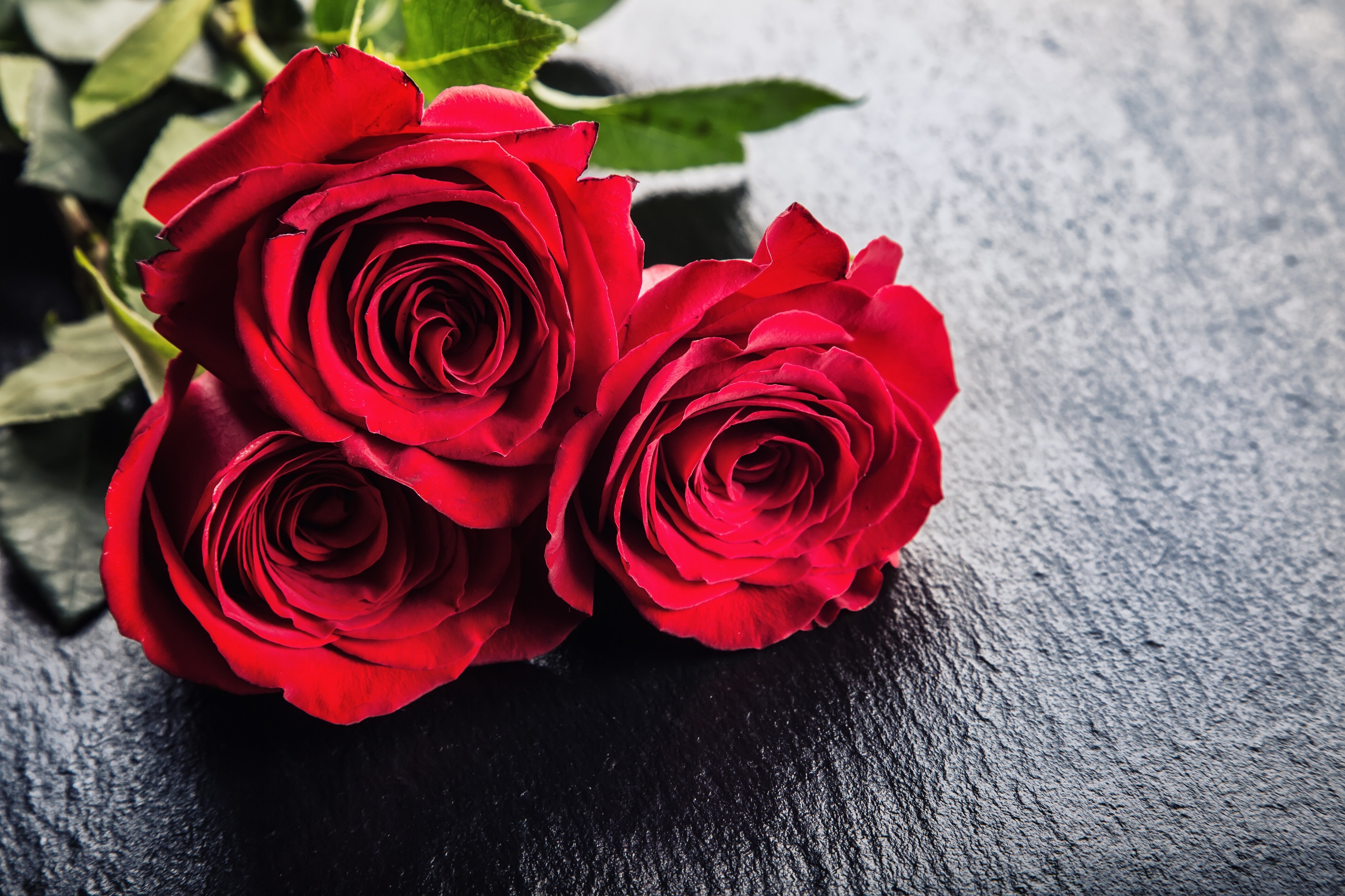 Roses