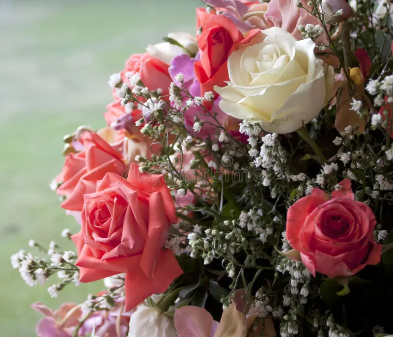Mixed Flowers