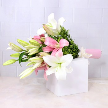 Fantastic Lilies