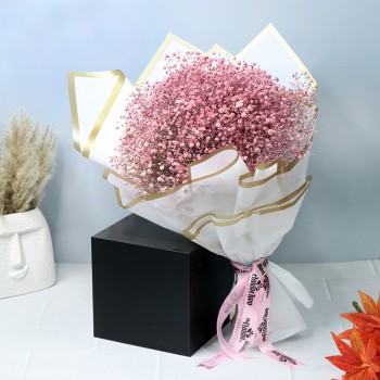 Platinum Passion Gypsm