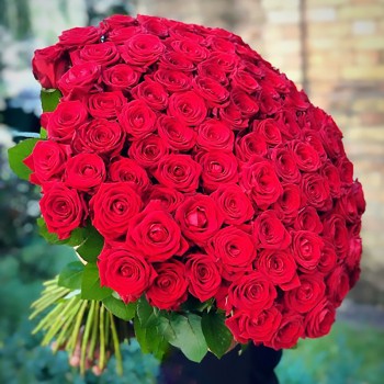 100 Red Roses